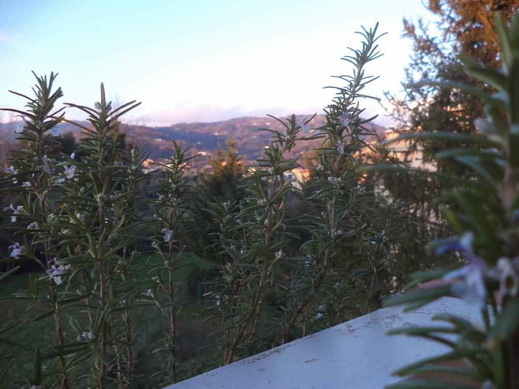 Apartment Montecatini-Terme Near Firenze, Lucca, Pisa Pokój zdjęcie