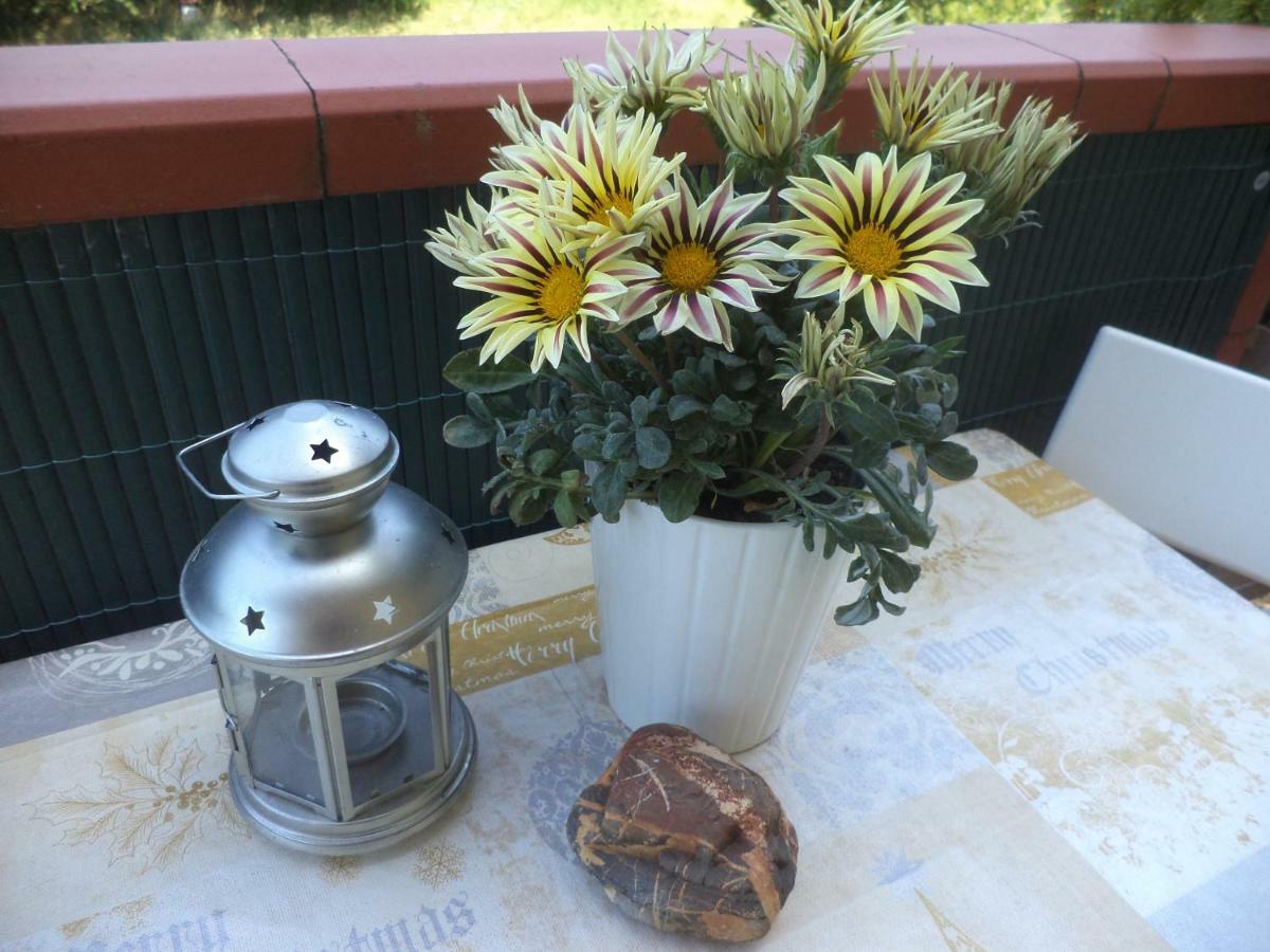 Apartment Montecatini-Terme Near Firenze, Lucca, Pisa Zewnętrze zdjęcie