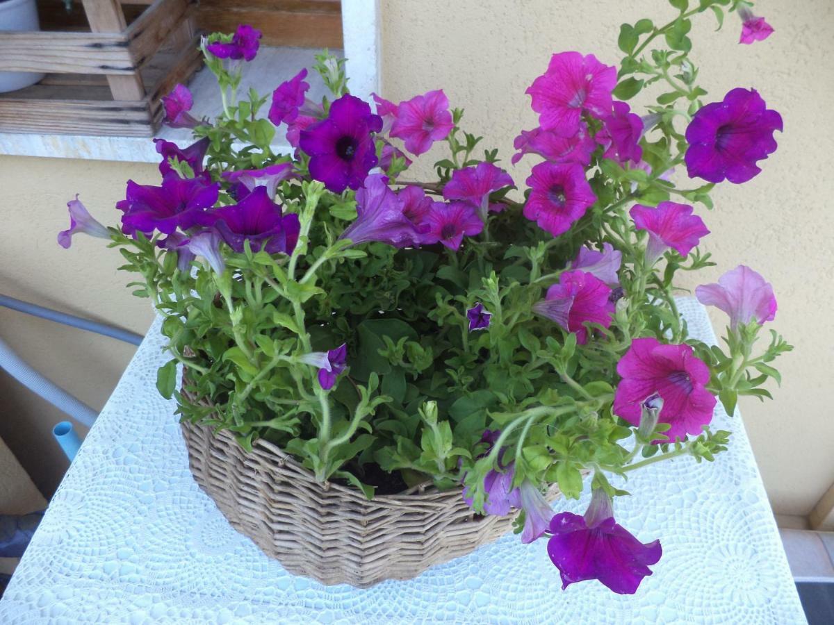 Apartment Montecatini-Terme Near Firenze, Lucca, Pisa Zewnętrze zdjęcie